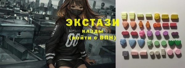 индика Нефтегорск