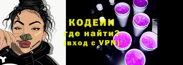 индика Нефтегорск