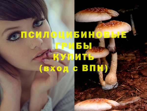 MDMA Нефтекумск