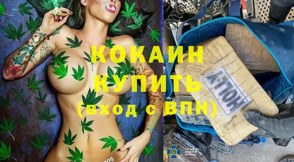 индика Нефтегорск