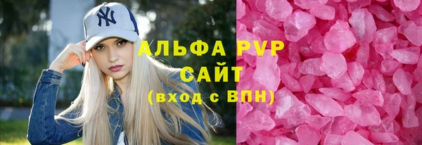 индика Нефтегорск