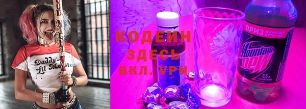 индика Нефтегорск